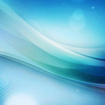 Effective Implementation of Recovery Plans and Programs: Bridging academic findings and country experiences