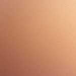 防災セミナー「スマトラ沖地震津波より10年を経て－日本とインドネシアに於ける災害文化交流の推進‐」