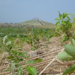 A Symposium Promoting <br />The Forested Coastal Embankments